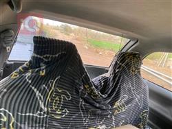 تۆیۆتا پریڤیا